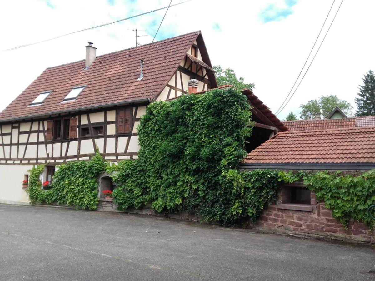 Gite Au Petit Ruisseau-Etage Et Combles-Maison Alsacienne 4 Personnes 4 Nuitees Minimum Langensoultzbach Buitenkant foto