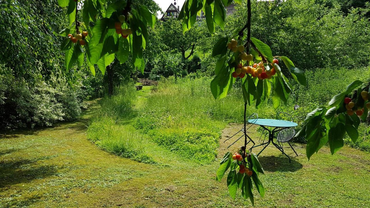 Gite Au Petit Ruisseau-Etage Et Combles-Maison Alsacienne 4 Personnes 4 Nuitees Minimum Langensoultzbach Buitenkant foto