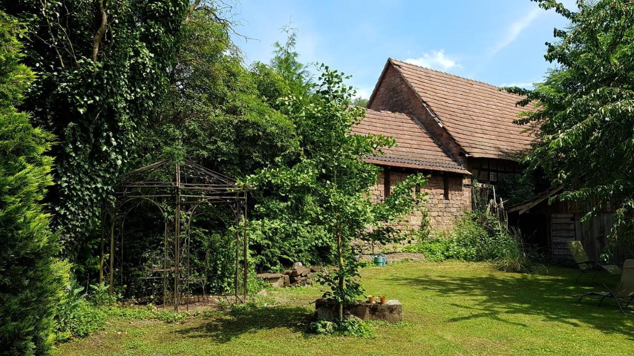 Gite Au Petit Ruisseau-Etage Et Combles-Maison Alsacienne 4 Personnes 4 Nuitees Minimum Langensoultzbach Buitenkant foto