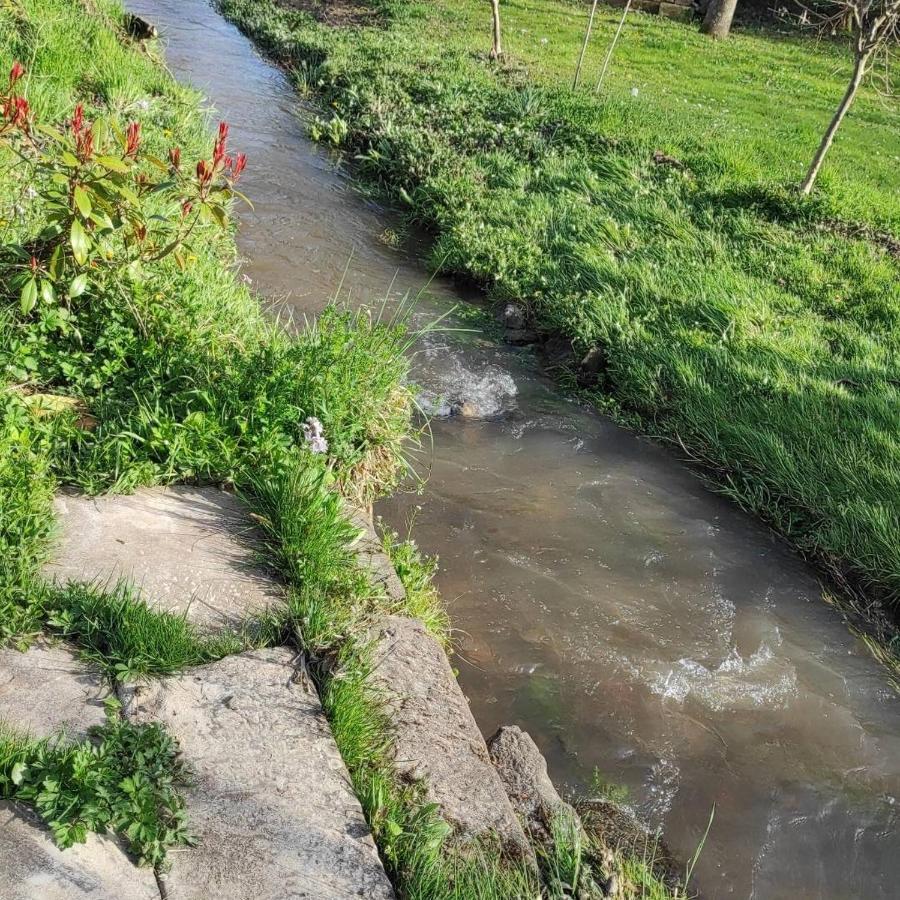 Gite Au Petit Ruisseau-Etage Et Combles-Maison Alsacienne 4 Personnes 4 Nuitees Minimum Langensoultzbach Buitenkant foto