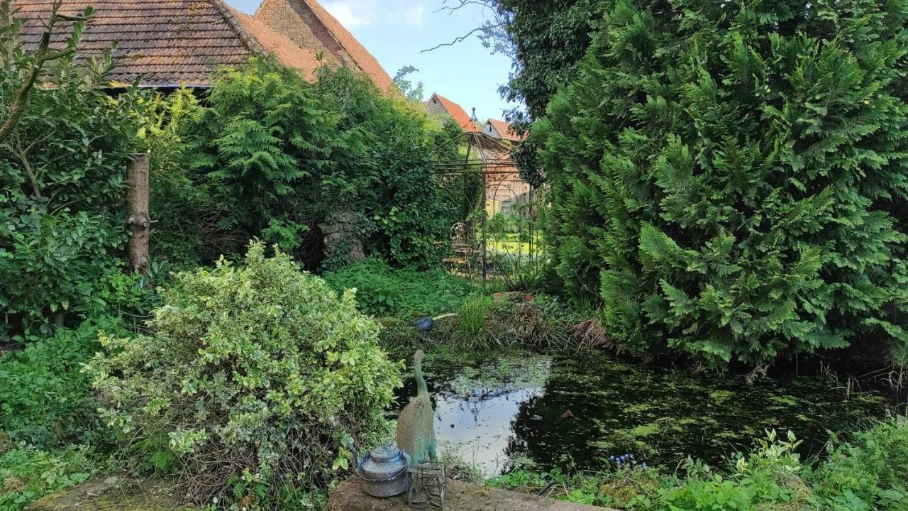 Gite Au Petit Ruisseau-Etage Et Combles-Maison Alsacienne 4 Personnes 4 Nuitees Minimum Langensoultzbach Buitenkant foto