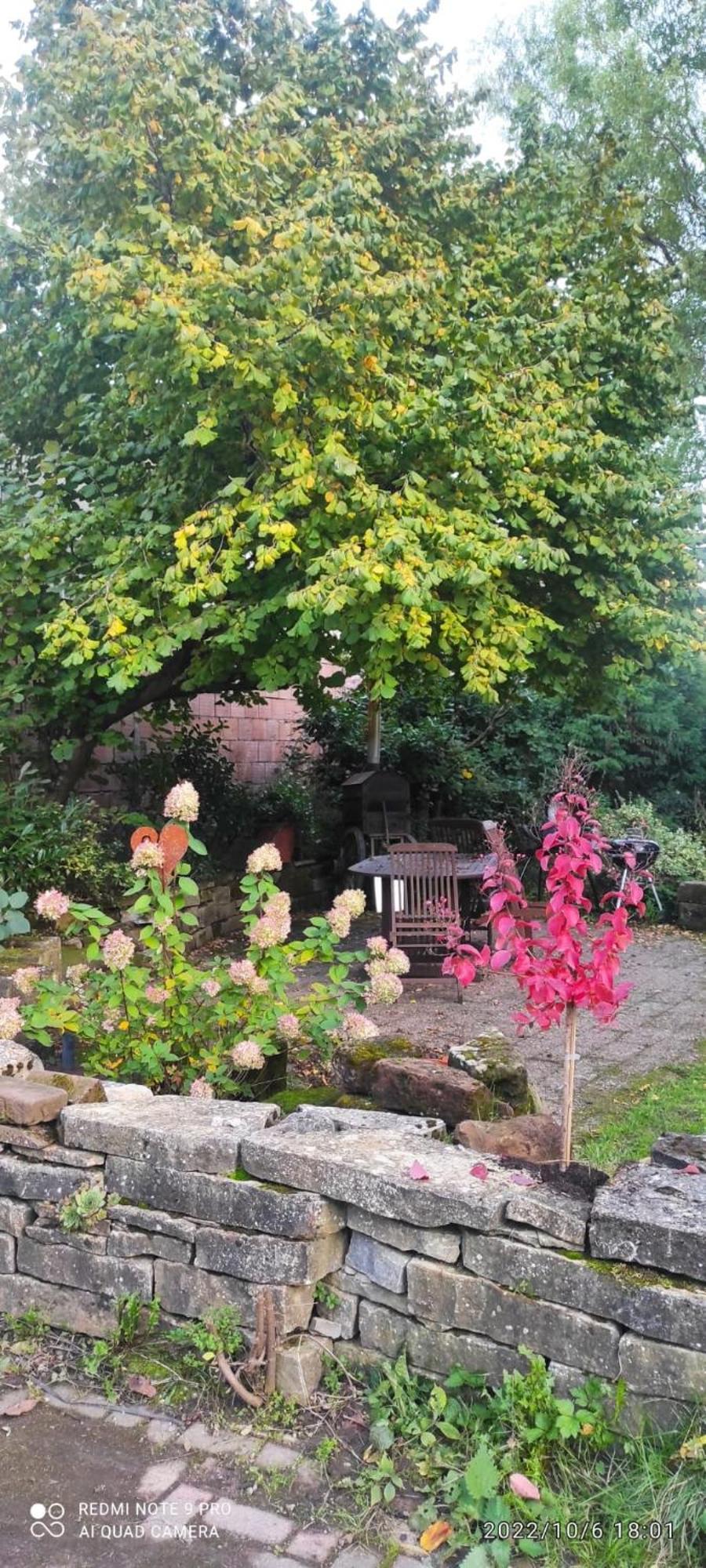 Gite Au Petit Ruisseau-Etage Et Combles-Maison Alsacienne 4 Personnes 4 Nuitees Minimum Langensoultzbach Buitenkant foto